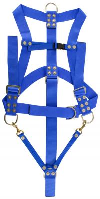 Divers Safety Harness